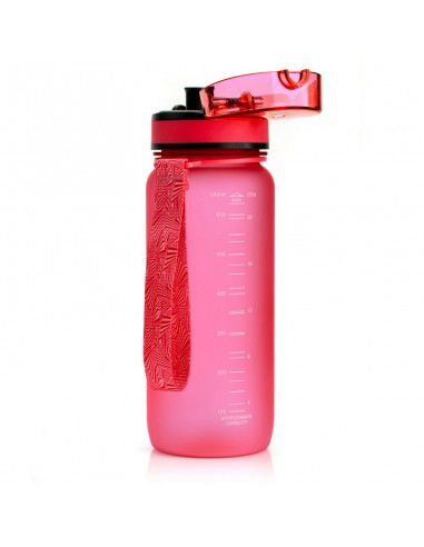 Water bottle Meteor 500 ml 74573