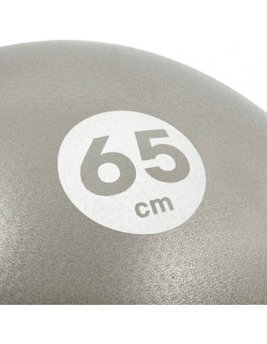 Reebok RAB-40016BK Μπάλα Pilates 65cm σε Ασημί Χρώμα