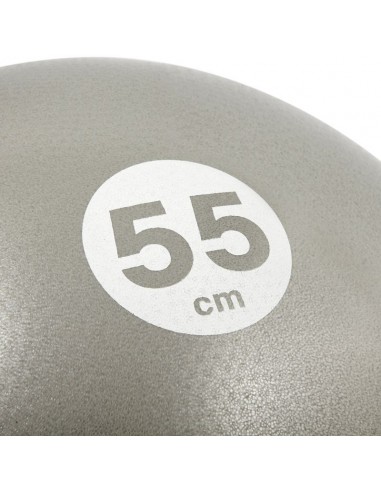 Reebok RAB-40015BK Μπάλα Pilates 55cm σε Ασημί Χρώμα