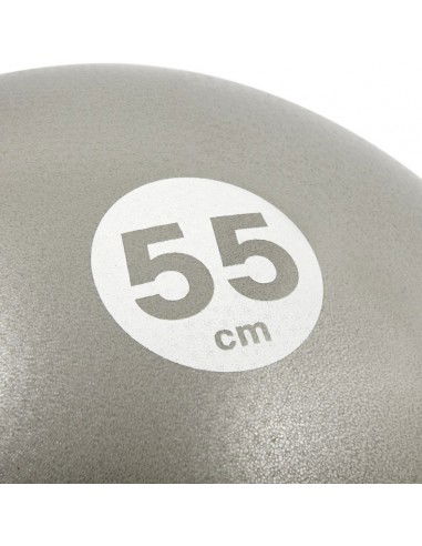 Reebok RAB-40015BK Μπάλα Pilates 55cm σε Ασημί Χρώμα