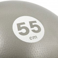 Reebok RAB-40015BK Μπάλα Pilates 55cm σε Ασημί Χρώμα