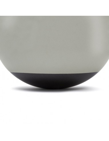 Reebok RAB-40015BK Μπάλα Pilates 55cm σε Ασημί Χρώμα