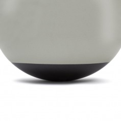 Reebok RAB-40015BK Μπάλα Pilates 55cm σε Ασημί Χρώμα