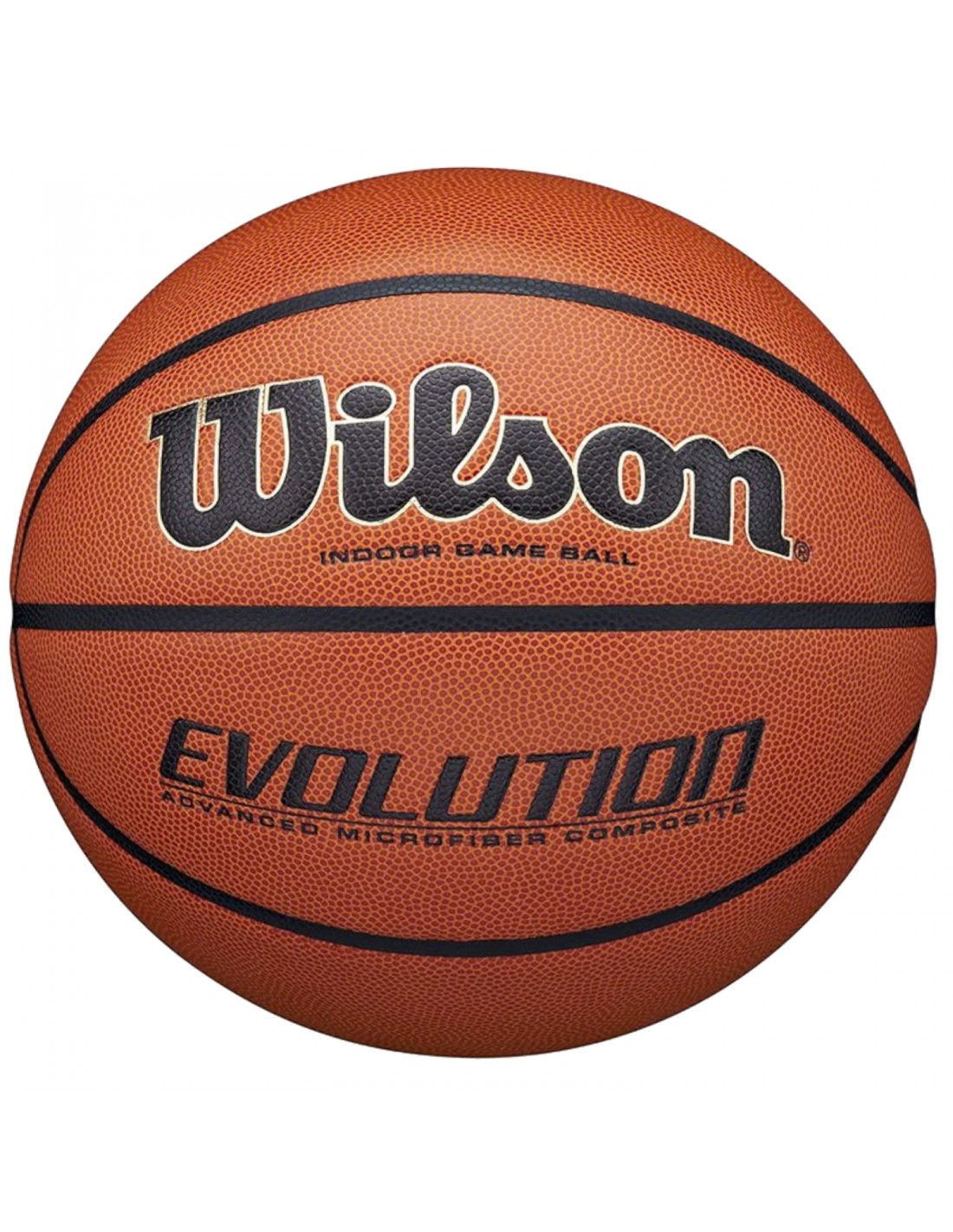 Wilson Evolution Indoor Game Ball WTB0516XBEMEA