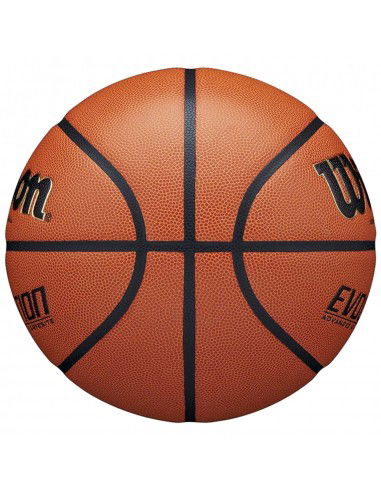 Wilson Evolution Indoor Game Ball WTB0516XBEMEA