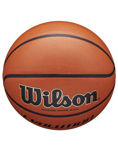 Wilson Evolution Indoor Game Ball WTB0516XBEMEA