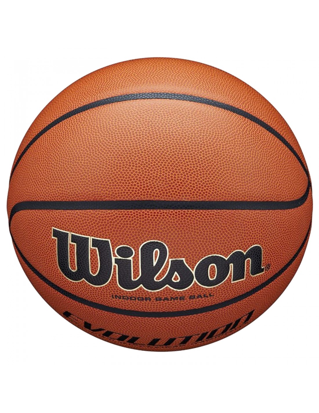 Wilson Evolution Indoor Game Ball WTB0516XBEMEA