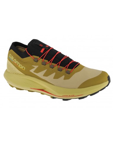 Salomon Pulsar Pro L41593600 Ανδρικά Αθλητικά Παπούτσια Trail Running Πράσινα