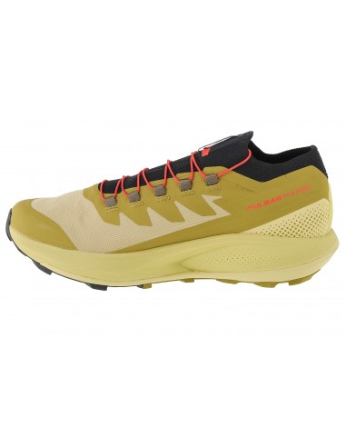 Salomon Pulsar Pro L41593600 Ανδρικά Αθλητικά Παπούτσια Trail Running Πράσινα