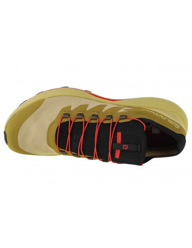 Salomon Pulsar Pro L41593600 Ανδρικά Αθλητικά Παπούτσια Trail Running Πράσινα
