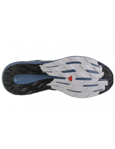 Salomon Pulsar L47210000 Αθλητικά Παπούτσια Trail Running Μαύρα