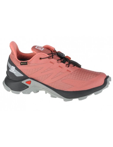Salomon Supercross Blast GTX L41111100 Γυναικεία Αθλητικά Παπούτσια Trail Running Ροζ