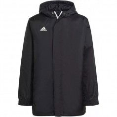 Jacket adidas Entrada 22 Stadium M IB6076
