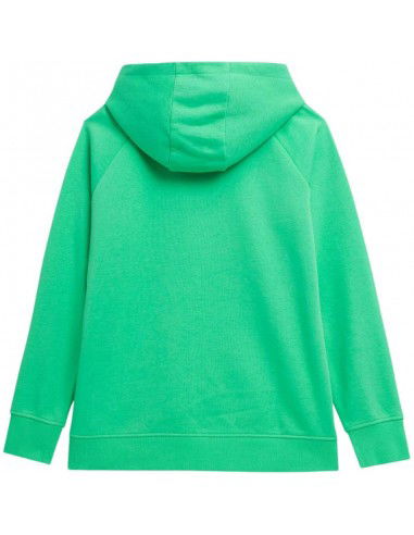 Sweatshirt 4F W 4FSS23TSWSF535 41S