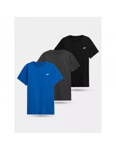 4F 3Pak Ανδρικό T-shirt Κοντομάνικο Μπλε/Γκρι/Μαύρο 4FWSS23TTSHM1231-90S
