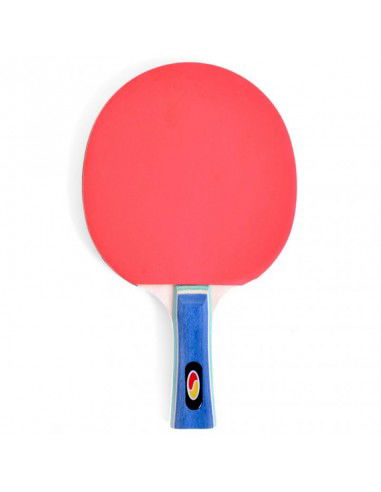 Pingpong racket SMJ Faster 122011