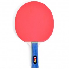 SMJ Sport Faster 12201-1 Ρακέτα Ping Pong για Αρχάριους