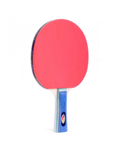 SMJ Sport Faster 12201-1 Ρακέτα Ping Pong για Αρχάριους