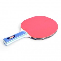 SMJ Sport Faster 12201-1 Ρακέτα Ping Pong για Αρχάριους