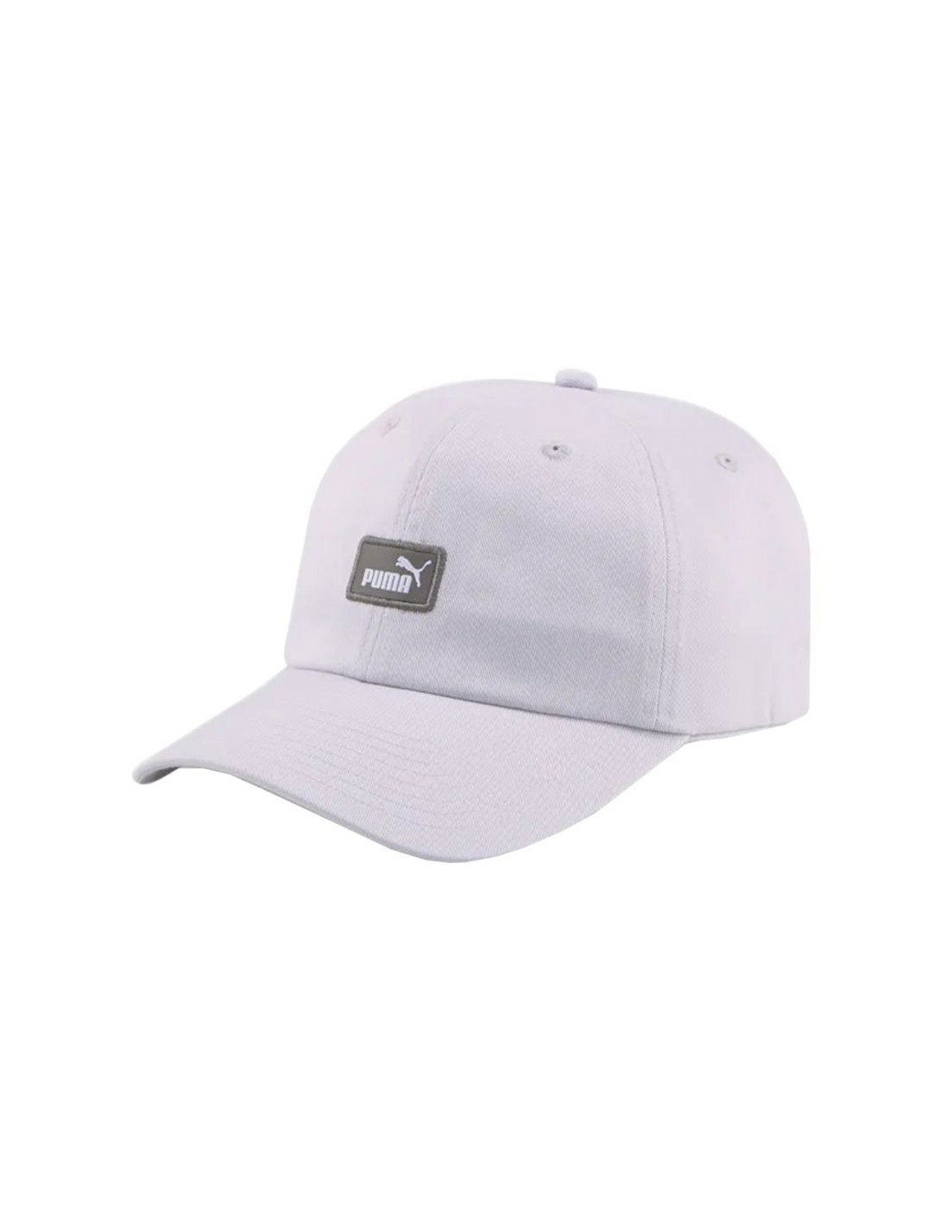 Men's Hats 4F Purple