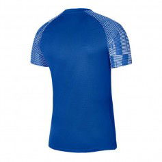 Nike DriFit Academy SS M DH8031463 Tshirt
