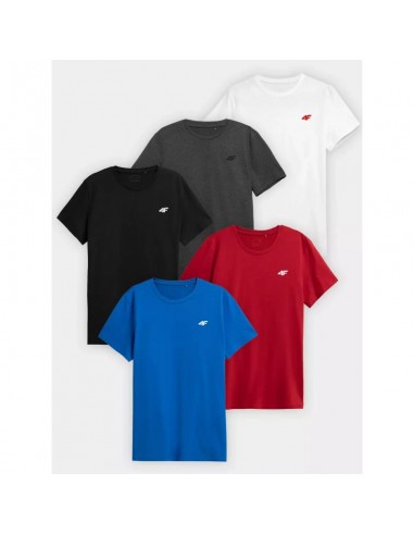 4F 5Pak Ανδρικό T-shirt Κοντομάνικο Πολύχρωμο 4FWSS23TTSHM1230-91S
