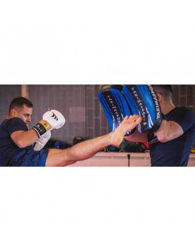 Boxing gloves Yakmaspor lion 12 oz 10034212OZ