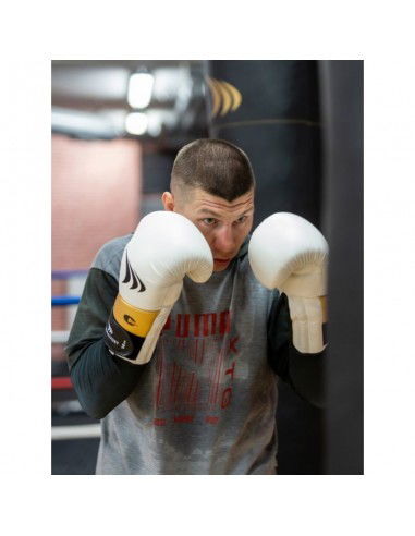 Boxing gloves Yakmaspor lion 12 oz 10034212OZ