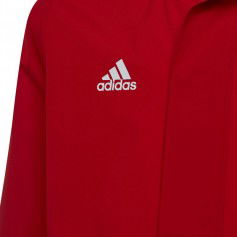 Jacket adidas Entrada 22 AllWeather Jr IK4013