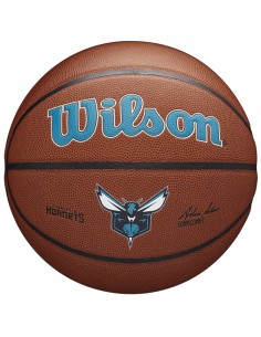 Wilson NBA Charlotte Hornets Μπάλα Μπάσκετ Indoor/Outdoor WTB3100XBCHA