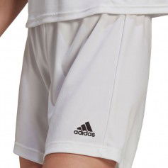 Shorts adidas Entrada 22 M HI0001