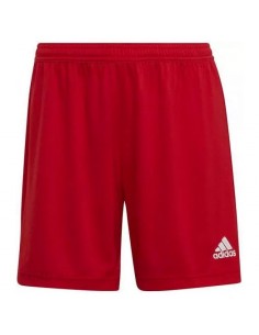 Adidas Entrada 22 Αθλητική Ανδρική Βερμούδα Μπορντό HI0002