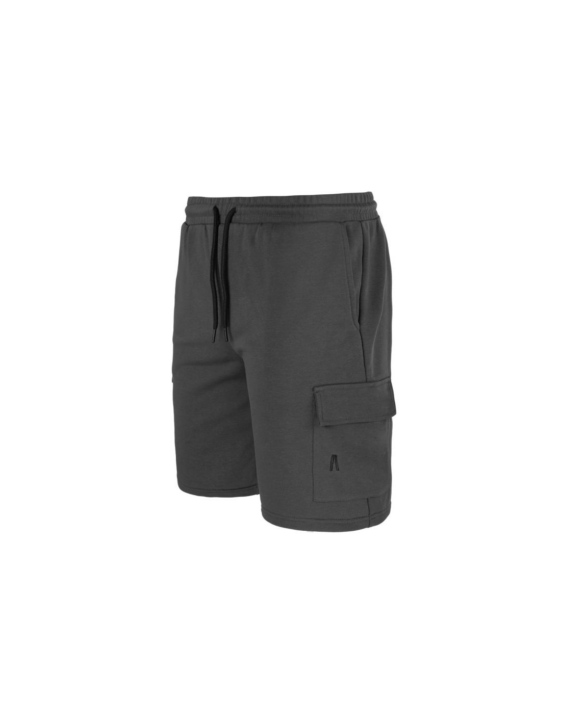 Men's Sports Shorts Alpinus Gray