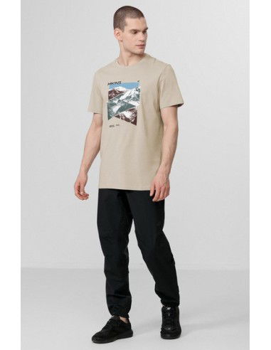 T-shirt 4F M H4L22-TSM071 gray