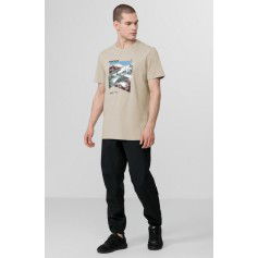 T-shirt 4F M H4L22-TSM071 gray