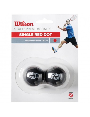 Wilson Staff Squash Red Dot 2 Pack Ball WRT617700