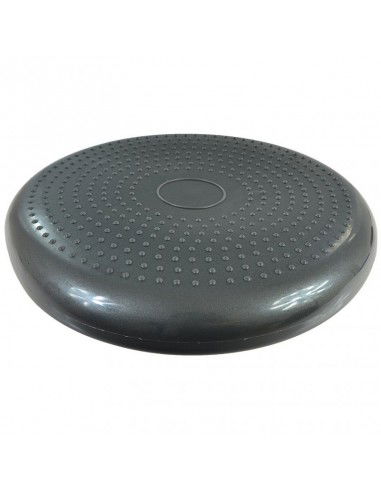 Inflatable disk PROFIT DK 2111