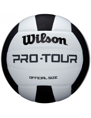 Volleyball Wilson ProTour WTH20119XB