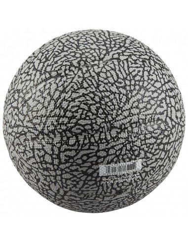 Jordan Skills 20 Graphic Mini Ball J1006753056