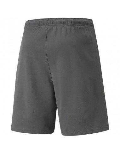 Puma teamRise Short M 704942 13