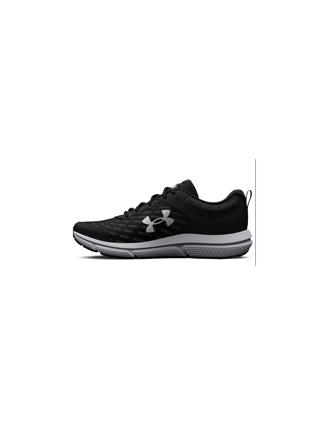 Shoes Under Armour Charged Assert 10 M 3026175001
