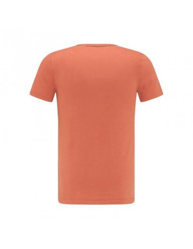 Mustang Ανδρικό T-shirt Κοντομάνικο Πορτοκαλί 10095317103