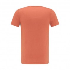 Mustang Ανδρικό T-shirt Κοντομάνικο Πορτοκαλί 10095317103