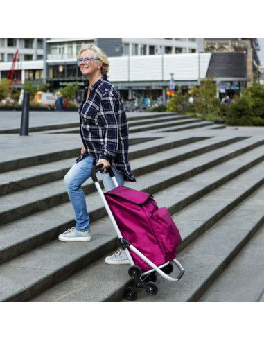 Expert Premium Υφασμάτινο Καρότσι Λαϊκής Πτυσσόμενο Μαύρο 47x43x97cm 604352