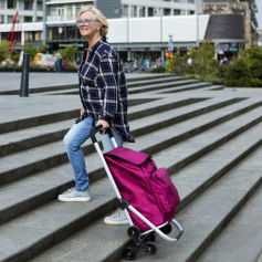 Expert Premium Υφασμάτινο Καρότσι Λαϊκής Πτυσσόμενο Μαύρο 47x43x97cm 604352