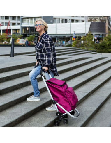 Shopping trolley Expert Premium 604353