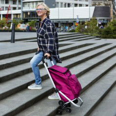 Shopping trolley Expert Premium 604353