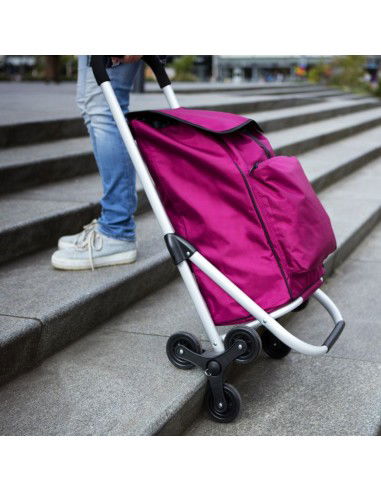 Shopping trolley Expert Premium 604353