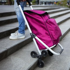 Expert Premium Υφασμάτινο Καρότσι Λαϊκής Πτυσσόμενο Μωβ 47x43x97cm 604353