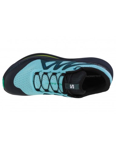Salomon Pulsar L47210200 Ανδρικά Αθλητικά Παπούτσια Trail Running Μπλε